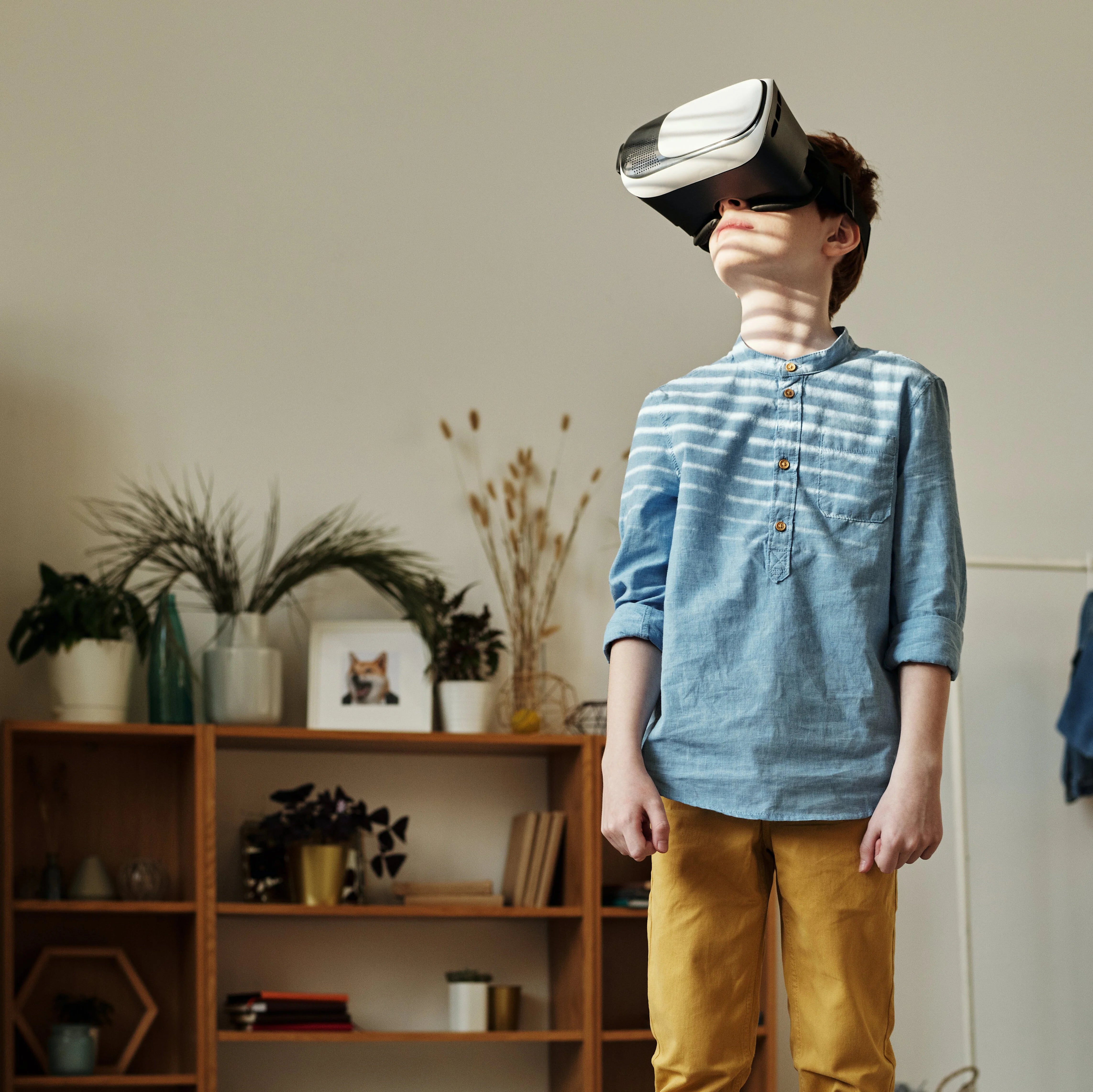 Electronics & Gadgets