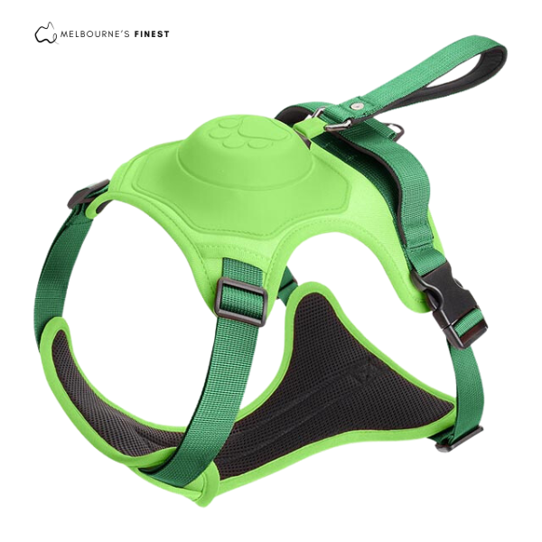 Petsafe™ 2-in-1 Dog Harness