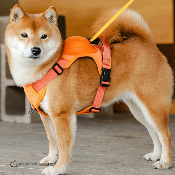 Petsafe™ 2in1 Dog Harness Melbourne's Finest
